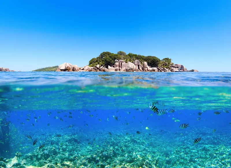 Ober- und Unterwasseraufnahme einer Seychellen-Insel mit Granitfelsen und bunten Fischen im klaren Riff.